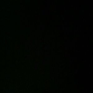 Meet your Posher, Wyatt