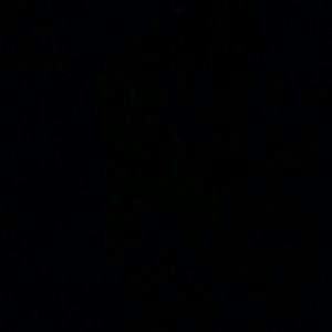 Meet your Posher, Ava