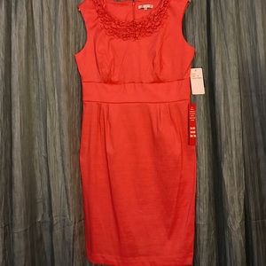 Sandra Darren Coral Summer Cocktail Dress