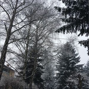 Meet your Posher, Lejla