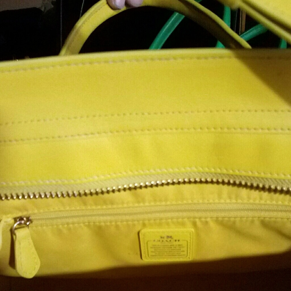 Coach Swagger Python Handbag - image 4