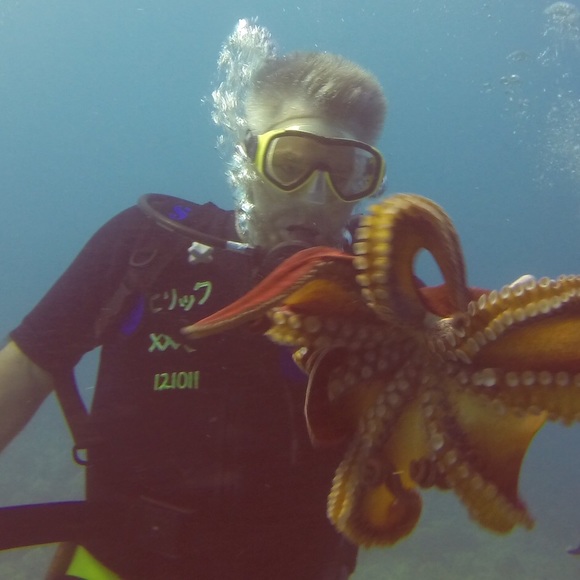 Meet your Posher, Robert - Picture 1 of 1