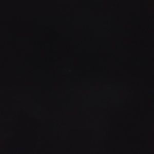 Meet your Posher, Tamara