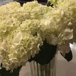 Meet your Posher, Valerie