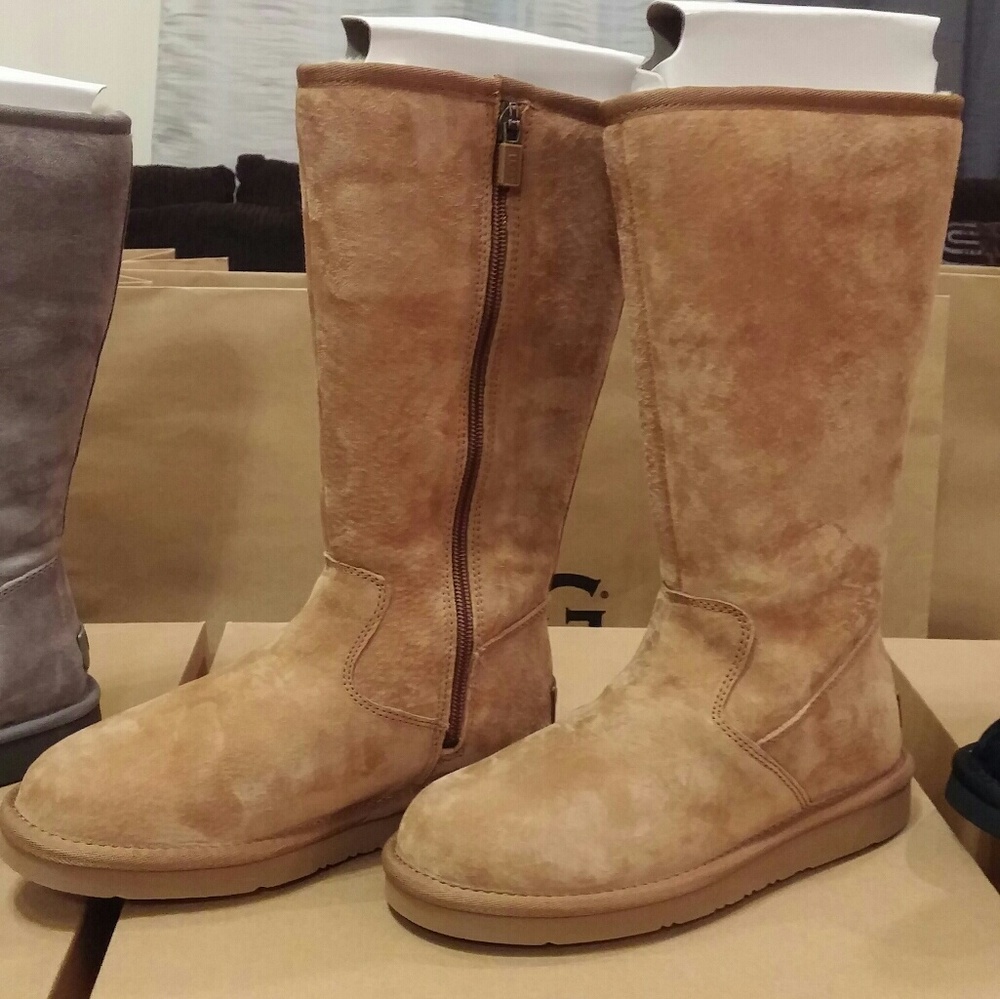 UGG ALBER AUTHENTIC BRAND NEW (1016592032)