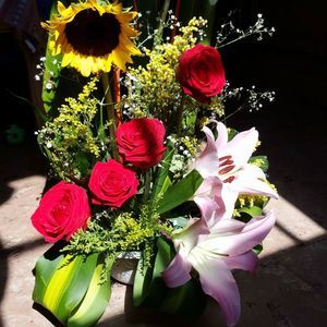 Meet your Posher, Karen