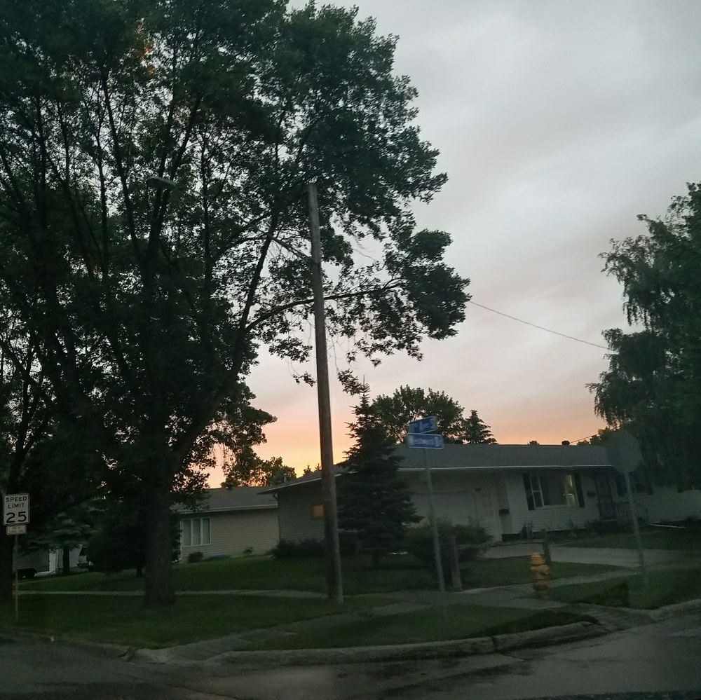 Meet your Posher, Alex