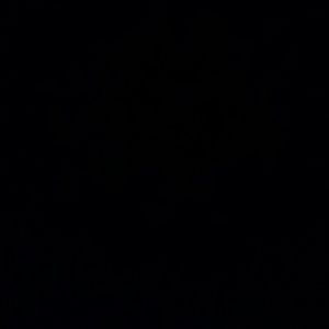 Meet your Posher, Tricia