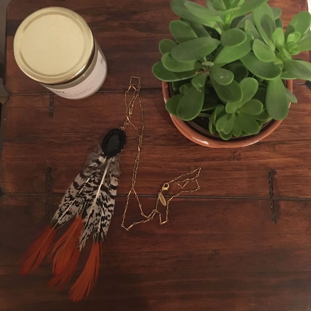 Anthropologoe Feather Necklace