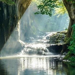 Meet your Posher, Carlos narciso