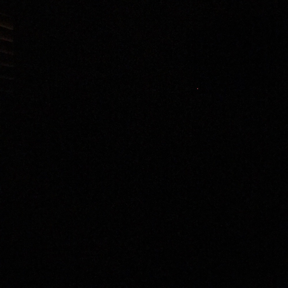 Meet your Posher, Ruthie