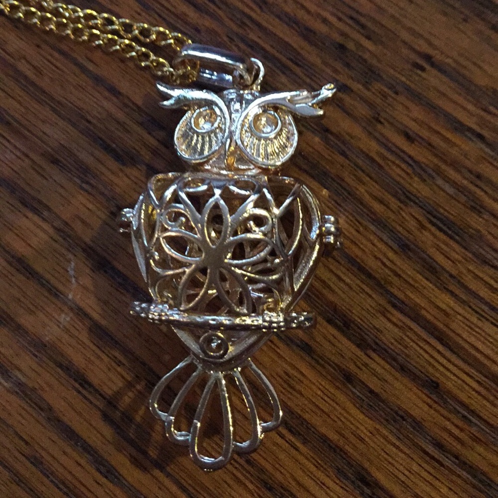 Aroma Therapy Necklace