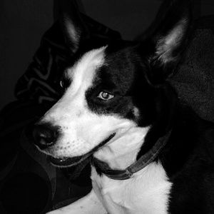 Meet your Posher, Helen