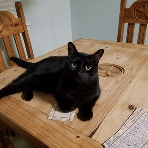Meet your Posher, Jenna