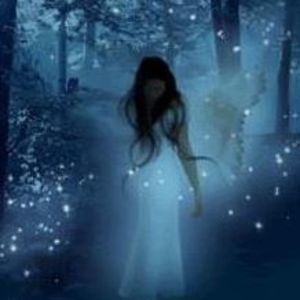 Meet your Posher, Beverly