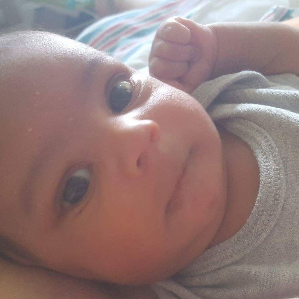 Meet your Posher, Ozzy