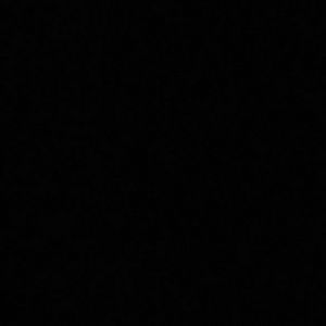 Meet your Posher, Samuel