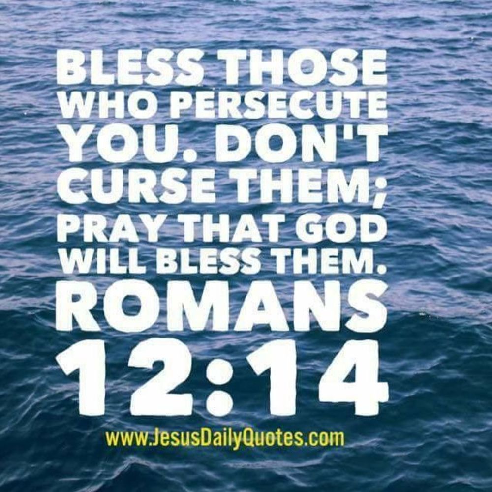 Meet your Posher, Georgette