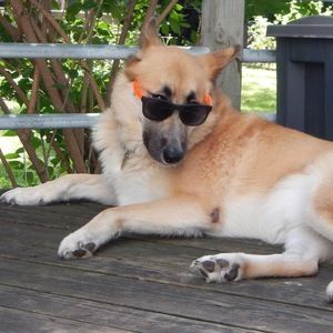 Meet your Posher, Anna