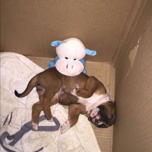 Meet your Posher, Estrella