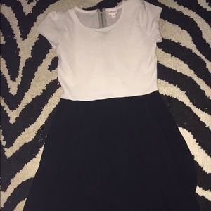 Large LulaRoe Amelia