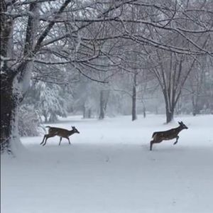 Meet your Posher, Edna