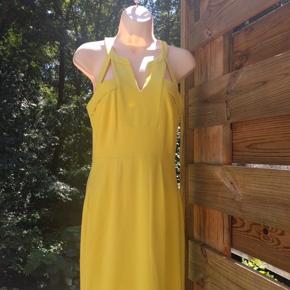 BCBG sexy dress