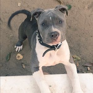 Meet your Posher, Quinn