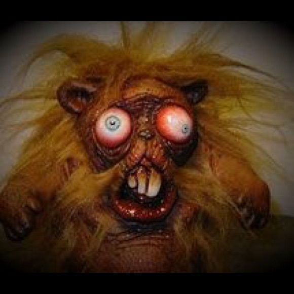 Meet your Posher, Dustin - Picture 1 of 1