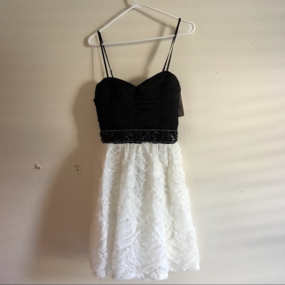 *NWT* Black & White Ruffled Roses Dress