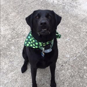 Meet your Posher, Grace