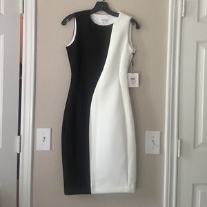 Calvin Klein Dress