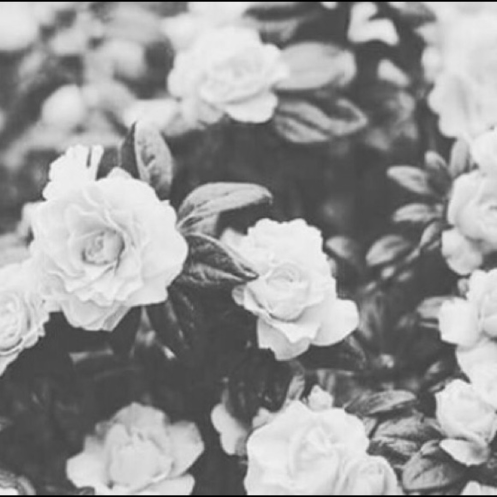 Meet your Posher, Coral