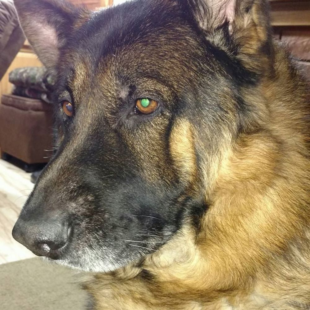 Meet your Posher, Marina