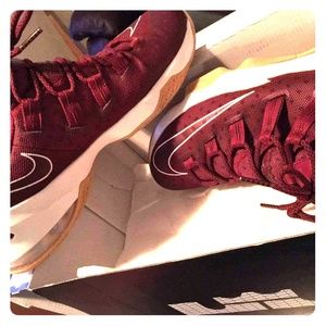 Nike Lebron's Xlll low top Cavs