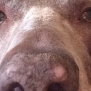 Meet your Posher, Alec