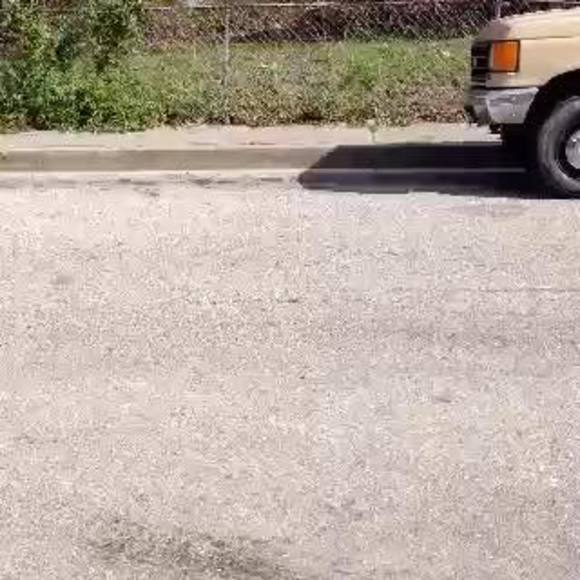 Meet your Posher, Cameron - Picture 1 of 1