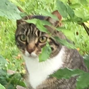 Meet your Posher, Jackie