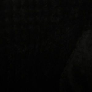 Meet your Posher, Jackson