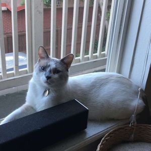 FIRST BUYER GETS DISCOUNTED SHIPPING