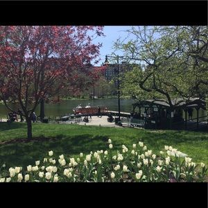 Meet your Posher, Julia