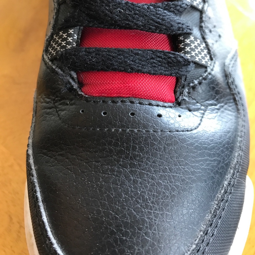 Jordan flight 2 - Picture 6 of 6