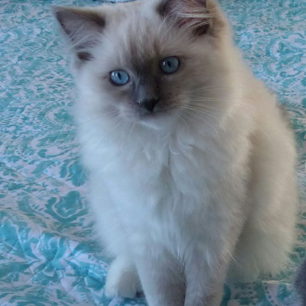 Meet your Posher, Katie