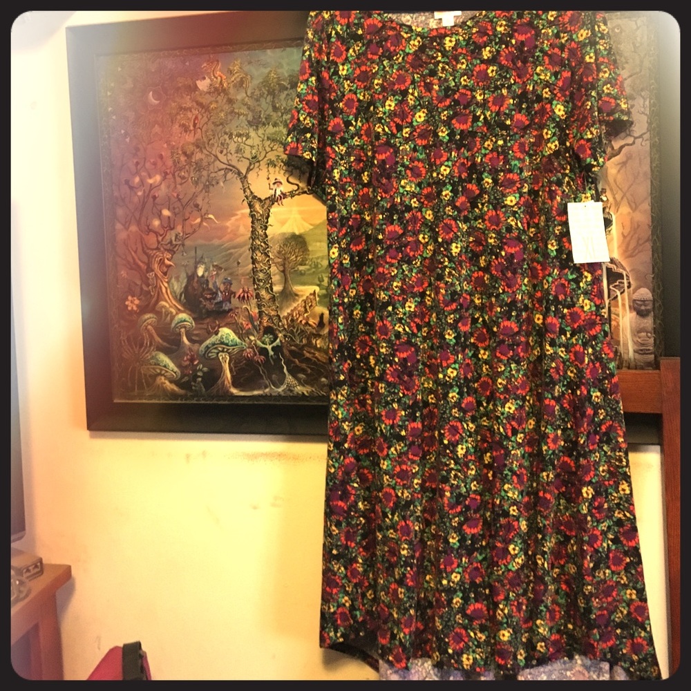 LuLaRoe xL Carly
