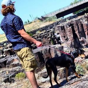 Meet your Posher, Blake