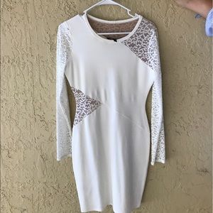 Bcbgmaxazria dress