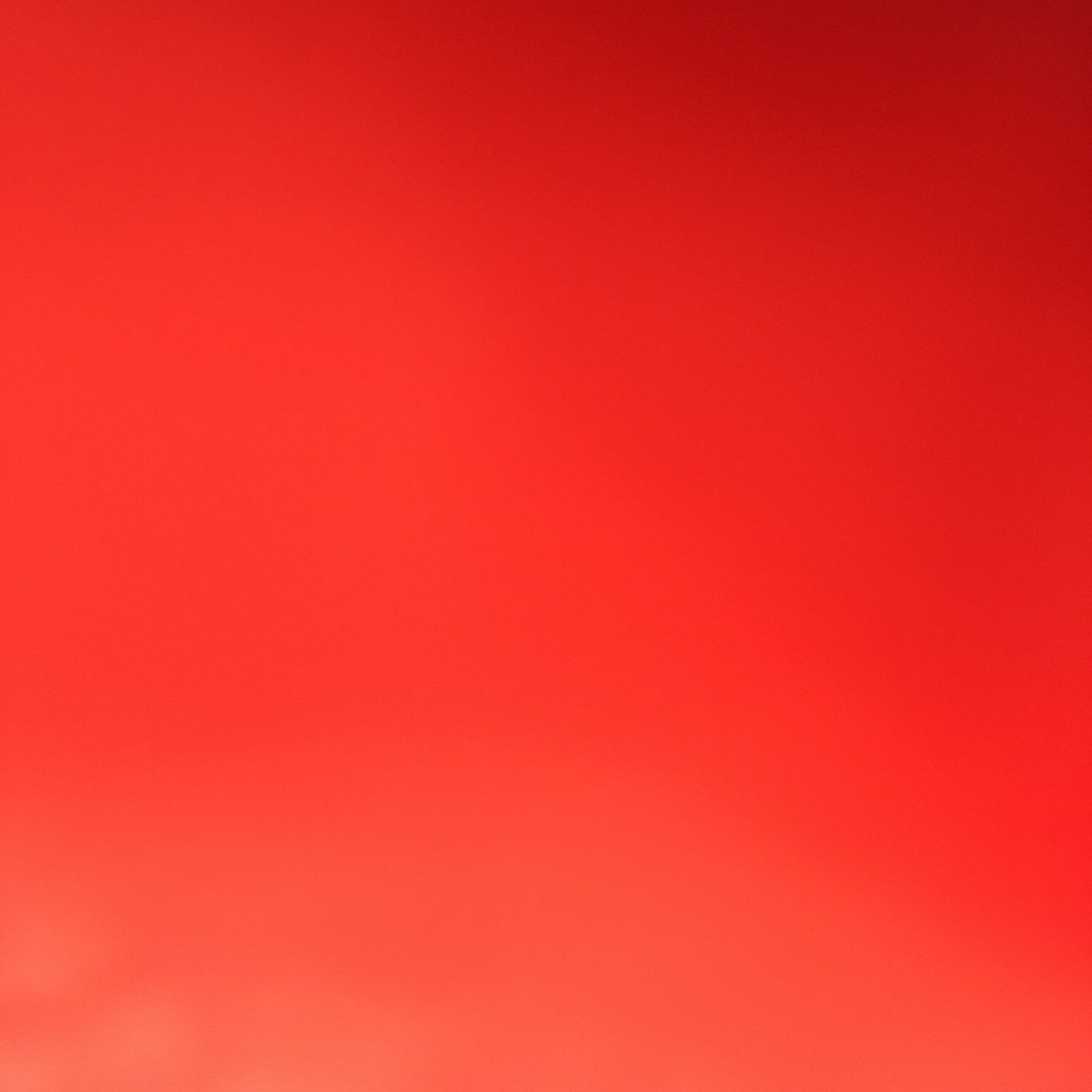 Meet your Posher, Ava