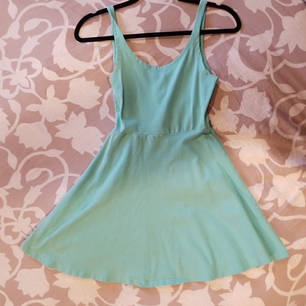 Express skater dress