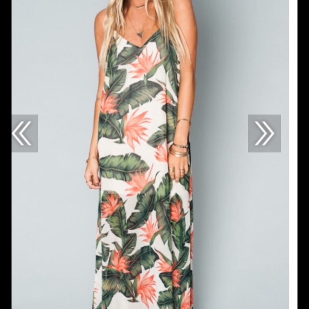 Show Me Your Mumu Maxi Dress