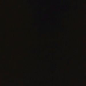 Meet your Posher, Antwone